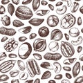 Vector nuts seamless pattern. Hand drawn pecan, macadamia, pine nuts, walnut, almond, pistachio, chestnut, peanut, brazil nut,