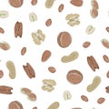 Vector Nuts Walnuts Pecans Almonds Peanuts Pistachios Scattered on Biege Background Seamless Repeat Pattern. Background