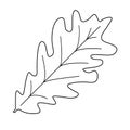 Vector oak leaf, line art, autumn fall illustration Royalty Free Stock Photo