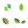 vector oak leaf logo template Royalty Free Stock Photo