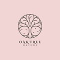 vector of oak tree line art logo symbol illustration design, nature tree logo design Royalty Free Stock Photo