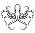 Vector octopus illustration