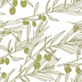 Vector olive branch seamless pattern. Green white background with hand drawn sketch olives. Royalty Free Stock Photo