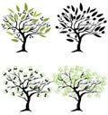 Vector Olive Trees