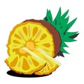 Vector of one pineapple and several slices