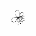 Vector one sakura. Black spring illustration flowers line art on a white isolated background