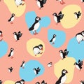 Vector orange background ocean seabird, arctic birds, puffins. Seamless pattern background