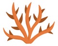 Vector orange coral icon. Under the sea illustration with cute seaweeds. Ocean plant clipart. Cartoon underwater or marine clip