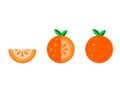Vector Orange fruit flat icons set isolated on white background. Cartoon summer food cute and kawaii style Fun doodle illustration Royalty Free Stock Photo