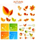 Vector orange and yellow autumn seasonal leaves, trees concepts Royalty Free Stock Photo