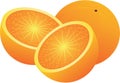 Vector oranges