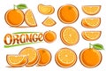 Vector Oranges Set Royalty Free Stock Photo