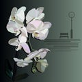 Vector orchid with a bench and street clock in the foreground Royalty Free Stock Photo
