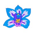 Vector orchid. Blue violet beautiful flower isolated on white. Line art style. Hand drawn illustration. Royalty Free Stock Photo