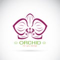 Vector of an Orchid logo on a white background.