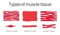 Illustration is Types of muscle tissue