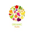 Vector organic fruits banner with natural fresh food illustration Royalty Free Stock Photo