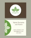 Vector Organic Leaves Business Card Illustration