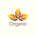 Vector Organic Leaves Logo Illustration