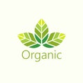 Vector Organic Leaves Logo Illustration