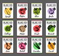 Vector organic vegetables cards set. Farm eco products tags collection. Hand sketched greens illustration