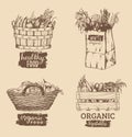 Vector organic vegetables images set. Farm products illustrations. Hand sketched baskets, box and bag with greens.