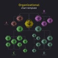 Vector organization chart Royalty Free Stock Photo