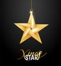 Vector origami paper christmas holiday star Royalty Free Stock Photo