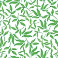 Vector ornage green leaf seamless pattern background on white surface