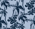 Vector ornamental vine grapes decorative background. Ethnic seamless pattern ornament. Vector Royalty Free Stock Photo