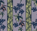 Vector ornamental vine grapes decorative background. Ethnic seamless pattern ornament. Vector Royalty Free Stock Photo