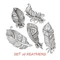 Vector Ornate Set of Stylized and Abstract Zentangle Feathers.