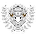 Vector ostrich for adult coloring page. Hand drawn funny ostrich