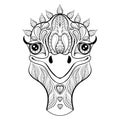 Vector ostrich for adult coloring page. Hand drawn funny ostrich