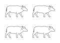 Vector outline african buffalo. Modern line african buffalo.