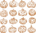 Vector outline brush drawings of set various halloween pumpkins