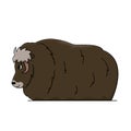 Vector outline cartoon isolated hand drawn Muskox illustration on white background. Side view of a Muskox animal standing, doodle