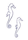 Vector outline cartoon two seahorses. Graphic underwater animal illustration, marine creatures isolated on white background for