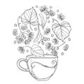 Vector outline cup of Linden or Tilia or Basswood herbal tea in black isolated on white background. Contour Linden flower bunch. Royalty Free Stock Photo