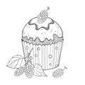 Vector outline cupcake with Mulberry or Morus ripe berry in black isolated on white background. Drawing of cake with mulberry. Royalty Free Stock Photo