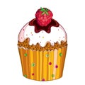 Vector outline cupcake with Raspberry red berry isolated on white background. Drawing of cake with raspberry fruit in contour.