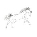 Vector outline drawing horses. The horse gallops, mane and tail fluttering.
