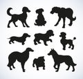 Vector outline drawing. Purebred dogs and mongrels Royalty Free Stock Photo