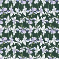 Rosemary flowers seamless pattern contrasting