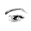 Vector outline eyes with brows, eye lashes and eye shadows