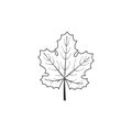 Vector outline grape leaf