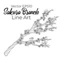 Vector Outline Hand Drawn Sakura Blossom Branch With Flowers Isolated On White Background. Stock Line Art Illustration. Japanese R