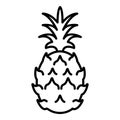 Vector Outline Icon - Pineapple Fruit Royalty Free Stock Photo