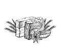 Vector outline illustration of handmade soaps with orange, juniper twigs and star anise. Hand drawn drawing with hatching