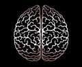 Vector Outline Illustration Of Human Brain On Black Background. Cerebral Hemispheres.Convolutions Of The Mind Brain.